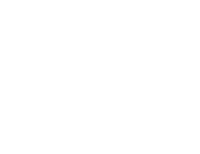 Snow's Award Winning Texas BBQ